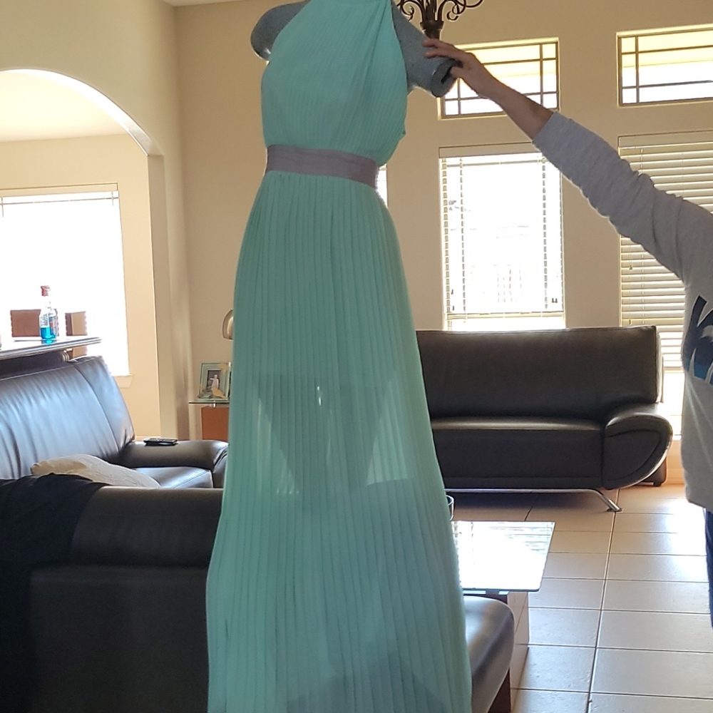 lucyparis• Seafoam, backless pleated chiffon gown